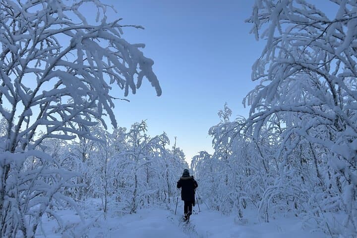 Skiing with beautiful frost covered trees