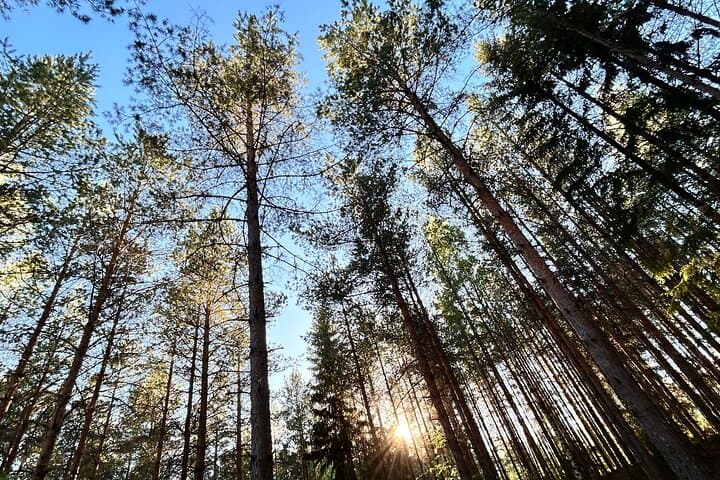 A Finnish nature
