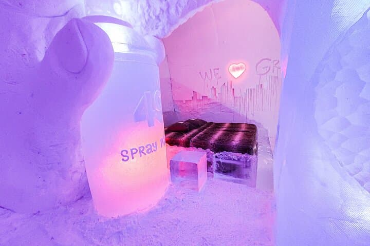 Rovaniemi: Arctic SnowHotel and Glass Igloos Visit with Transfers