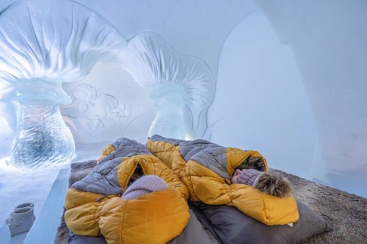 Rovaniemi: Arctic SnowHotel and Glass Igloos Visit with Transfers