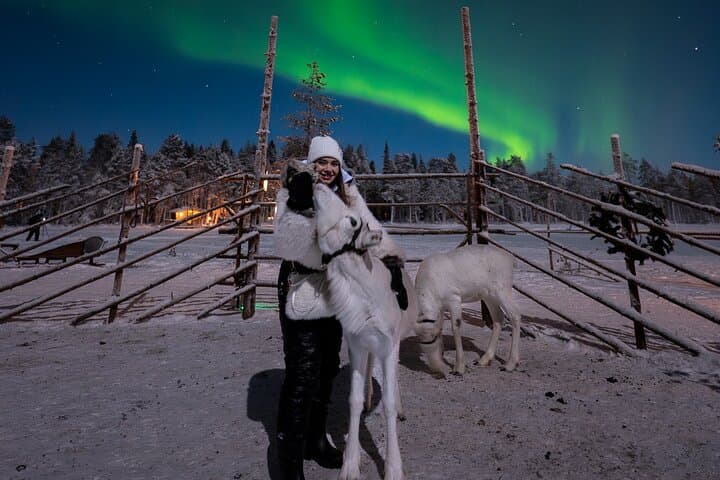 play with reindeer