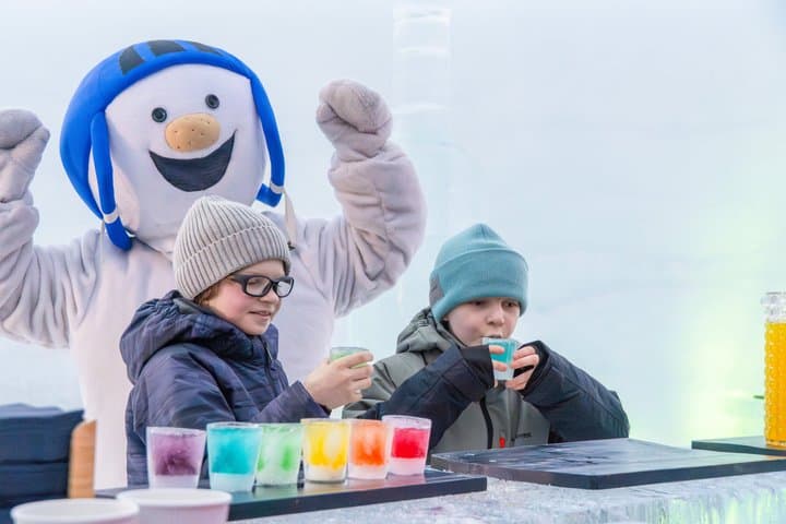 Rovaniemi: Reindeer and Husky Ride with Snowman World Tickets