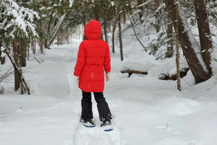 Arctic Survival Mission Arctic Wilderness Challenge