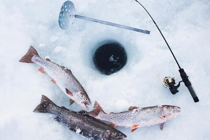 Ice Fishing Experience in Levi