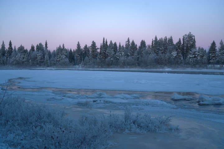 Levi Arctic Evening Experience Kota Dinner and Northern Lights