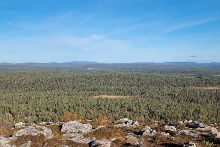 Day Hike in Salla National Park from Ruka-Kuusamo