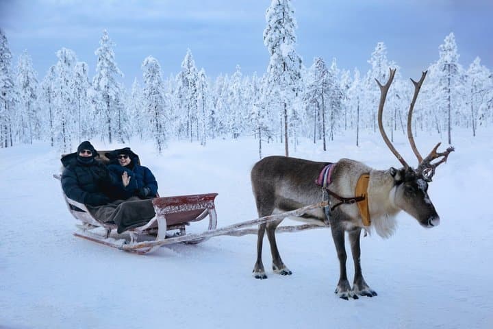 Rovaniemi: Reindeer Safari & Sled Ride with Sámi Heritage