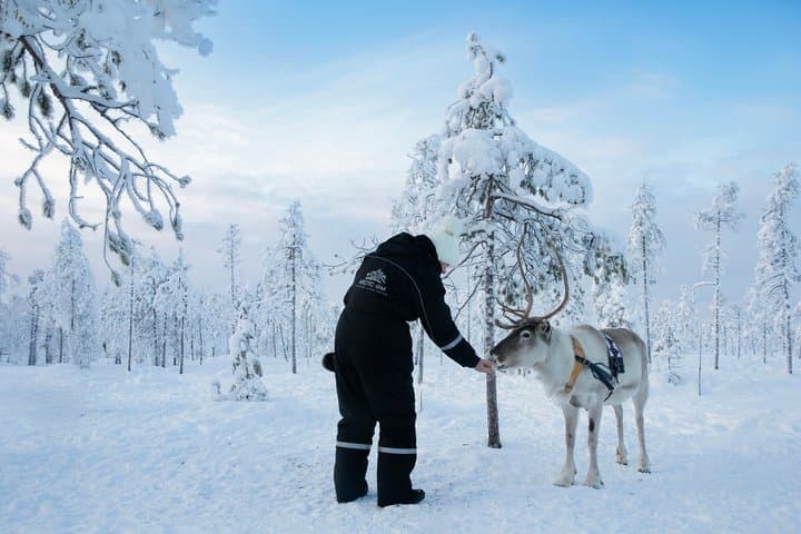 Rovaniemi: Reindeer Safari & Sled Ride with Sámi Heritage