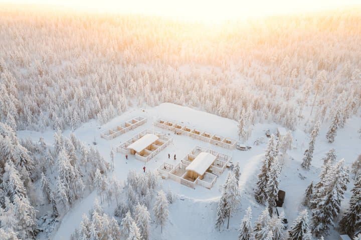 Rovaniemi Insider: 10 km Husky Self‑Drive Adventure