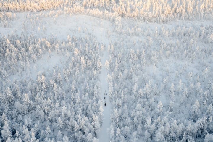 Rovaniemi Insider: 10 km Husky Self‑Drive Adventure
