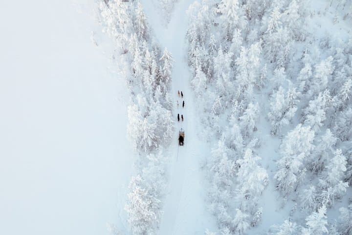 Rovaniemi Insider: 10 km Husky Self‑Drive Adventure