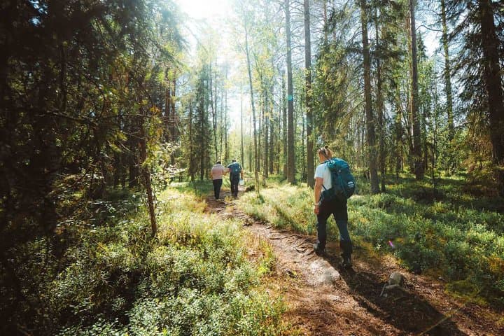 Trekking in the Heart of Nature