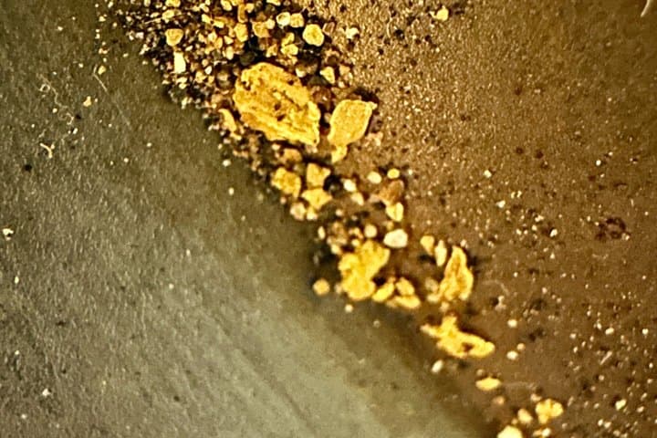 Gold Panning Experience at Kuttura Claim Lapland