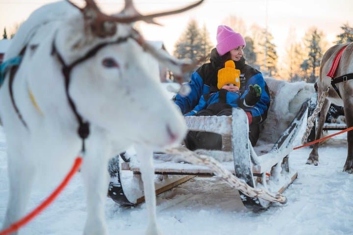 Reindeer Ride to Santa through the Magic Forest