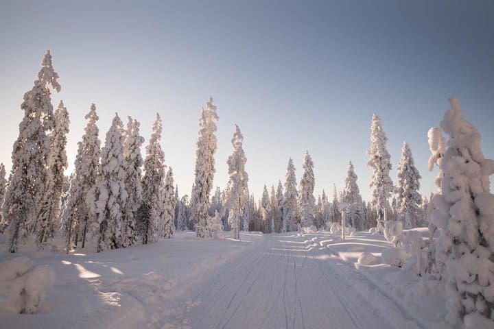 6 Hour Snowmobile Safari with Lunch in Levi