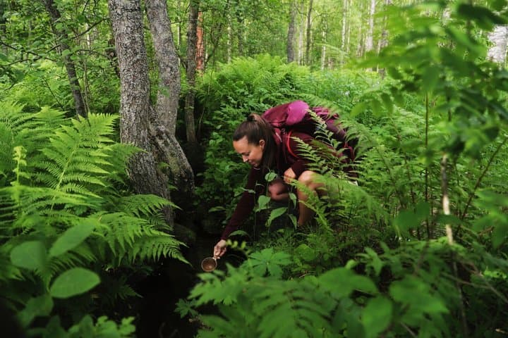Multiday Walking Tour in Finland National Parks