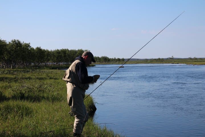 Lapland Nature Experience: Berry Picking, Fishing & Photography