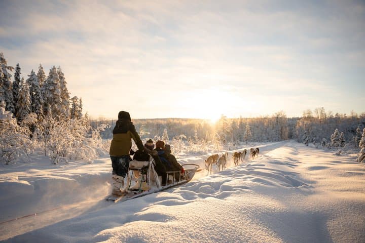 Local Husky Experience with Sled Ride and Photographer