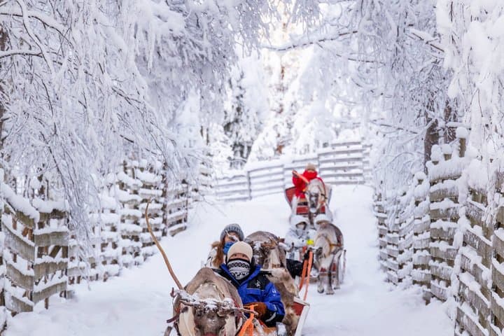 Santa Claus Safari - Rovaniemi