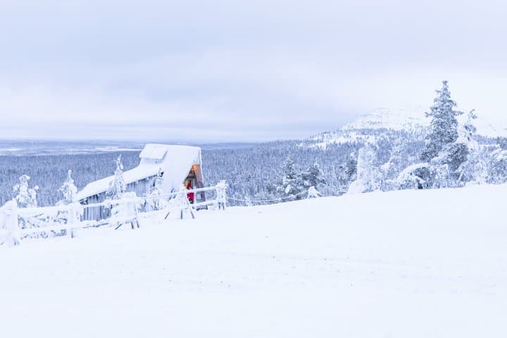 Day trip to Pyhä-Luosto National Park & Amethyst Mine - Rovaniemi