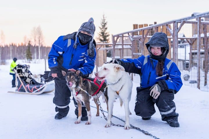 Husky Farm Visit with Husky Safari - Saariselkä