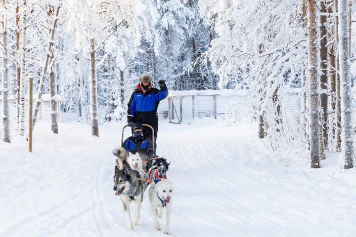 Husky Farm Visit with Husky Safari - Saariselkä