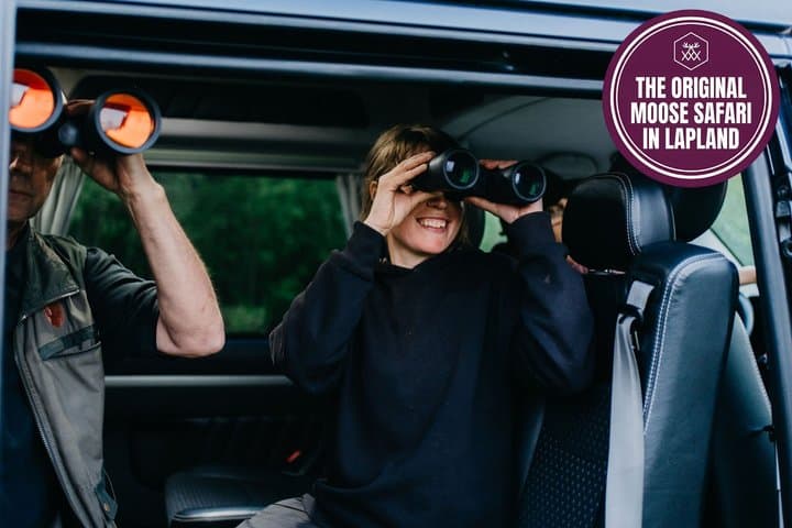 Moose Safari with Experienced Local Guide - Rovaniemi