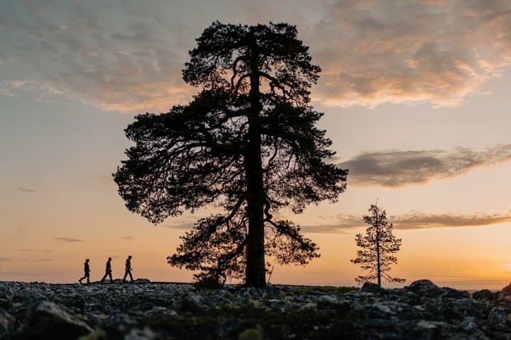 Caves, Cliffs & Canoe Adventure at Kätkävaara