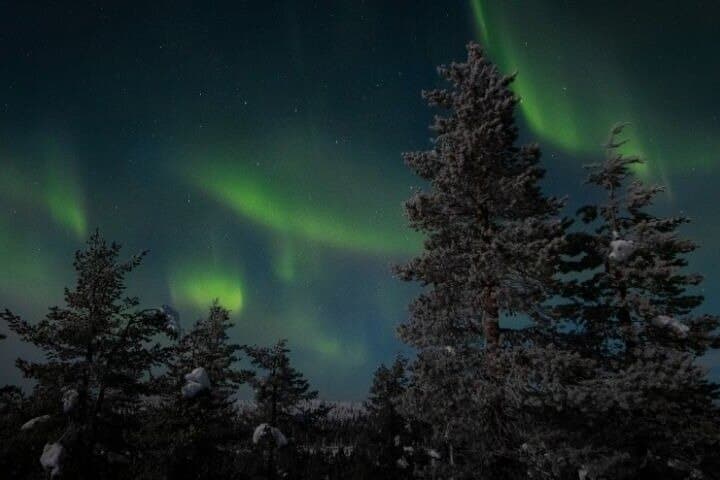 Levi to Rovaniemi Aurora Hunt Transfer