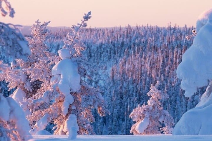 Levi to Rovaniemi Transfer and Photoshoot