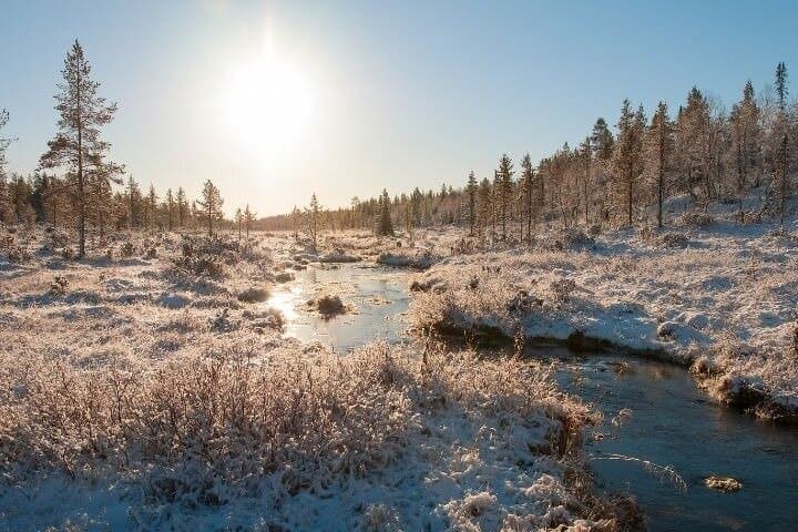 Levi to Rovaniemi Transfer and Photoshoot
