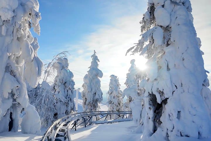 World’s Northernmost Coaster, Riisitunturi Snow Monsters & Rapids