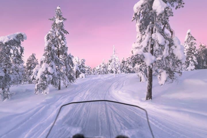 Rovaniemi: Snowmobile, Ice Fishing & Reindeer Experience
