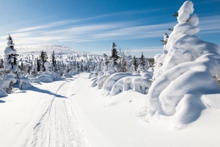 Rovaniemi Levi Adventure Transfer with Iconic Photoshoot