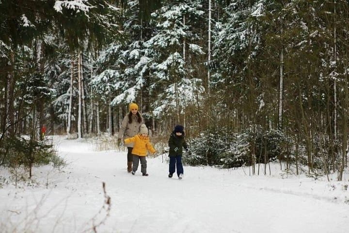 Rovaniemi to Levi Adventure Transfer for Families