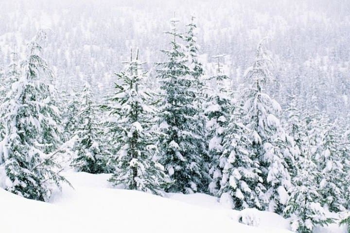 Rovaniemi to Levi Adventure Transfer for Families
