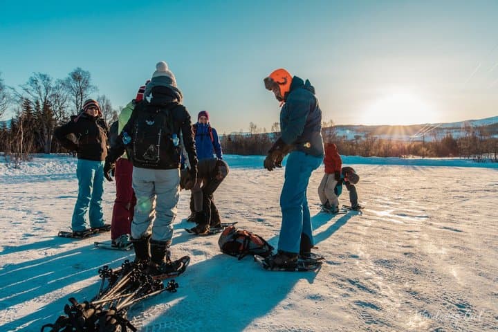 Rovaniemi Finland Tour with Transportation