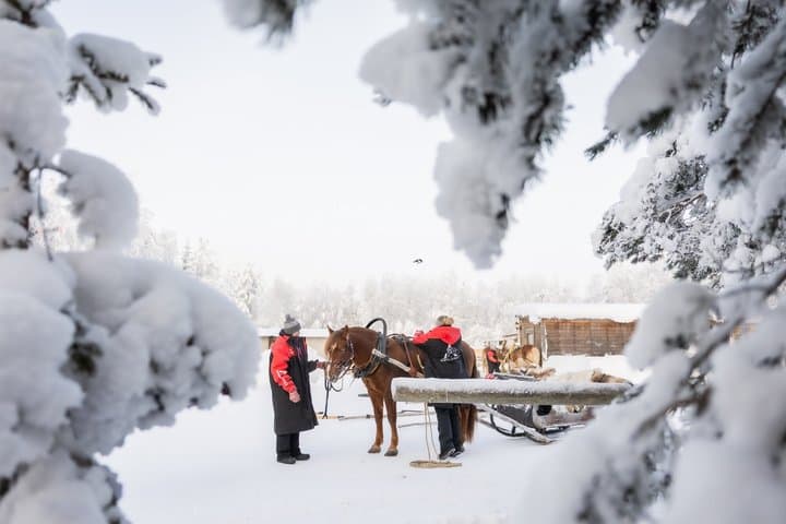 Magical Night Sleigh Ride along Santa's Paths