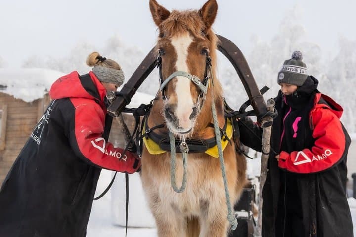 Magical Night Sleigh Ride along Santa's Paths