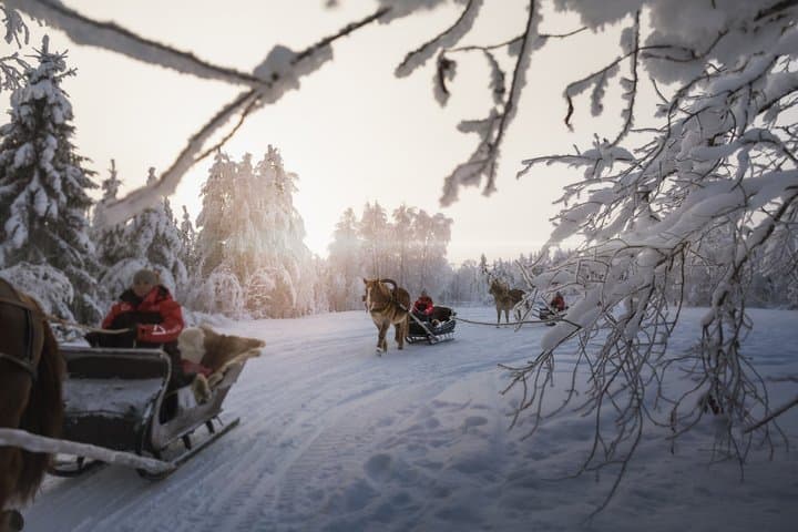 Magical Night Sleigh Ride along Santa's Paths