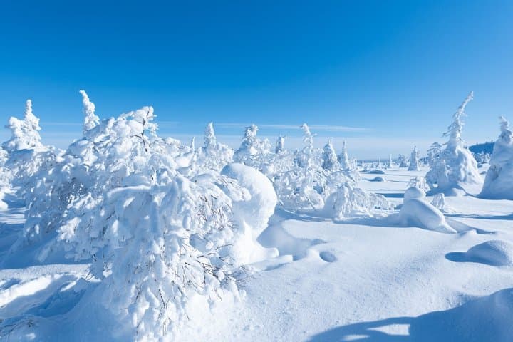 Riisitunturi National Park Day Tour from Rovaniemi