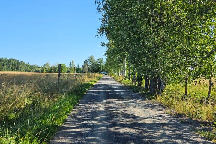Experience Finnish countryside and harness horses by Vantaanjoki