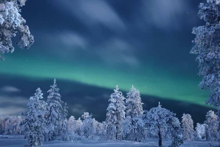 Rovaniemi: Northern Lights Hunting - Small Group & Photography