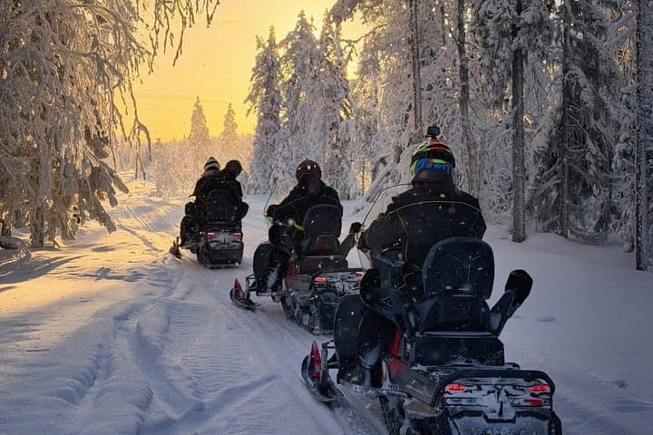 Twilight Backcountry Snowmobile Tour from Rovaniemi