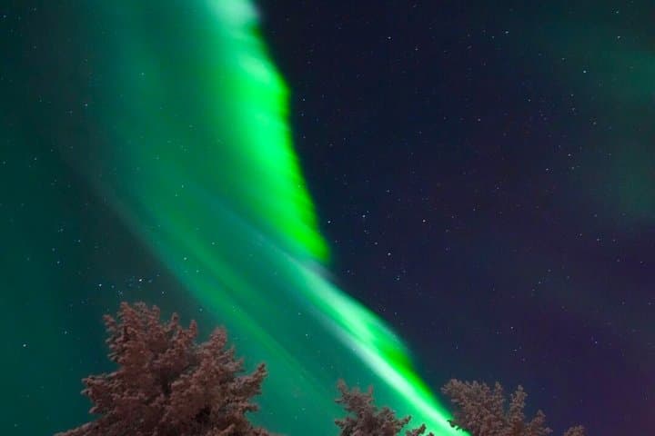 Rovaniemi: Small Group Northern Lights Hunting