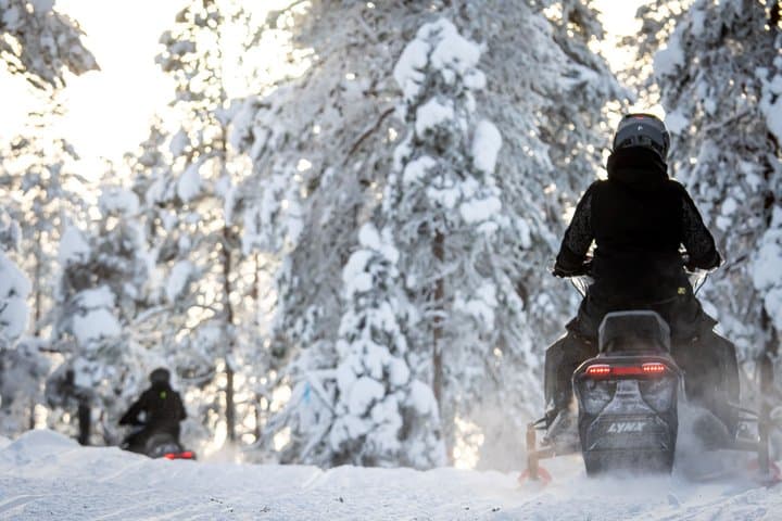 Snowmobile Safari to the Wilderness with Lunch