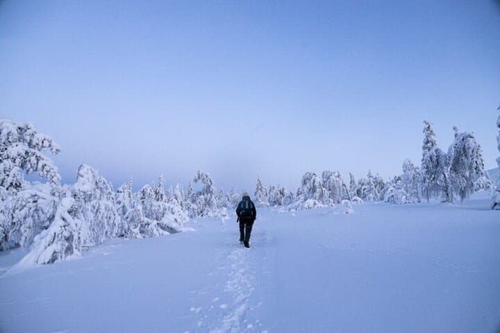 Lapland Arctic Ski Tour – Guided Wilderness Skiing on OAC Skis