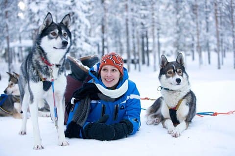 Husky Farm