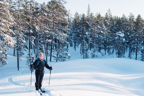 Private Wilderness Skiing Tour in Pyhätunturi With A Local Guide