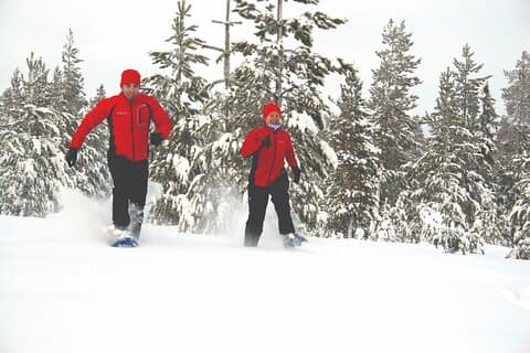 Snowshoe Trekking with Campfire BBQ from Rovaniemi